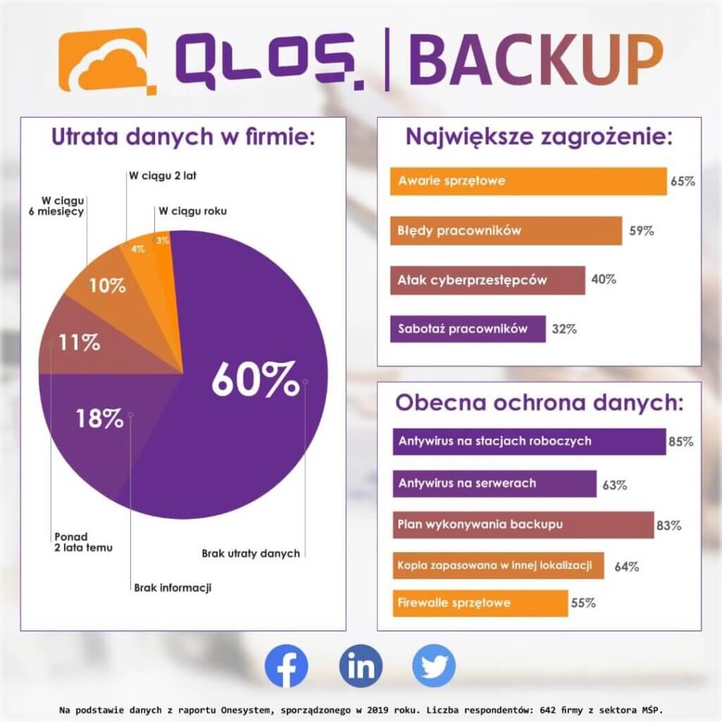 Backup danych - raport